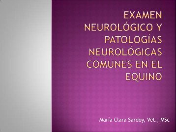 Examen neurológico y patologías comunes en el equino.pdf