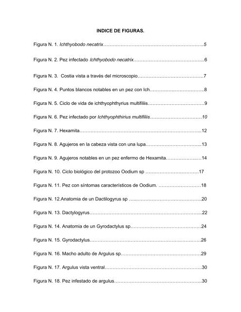 principales enfermedades en peces de acuario.pdf - Facultad de ...