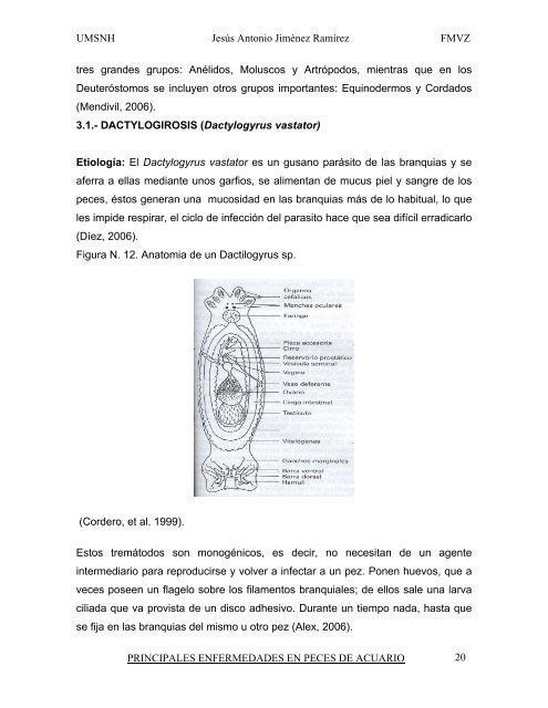 principales enfermedades en peces de acuario.pdf - Facultad de ...