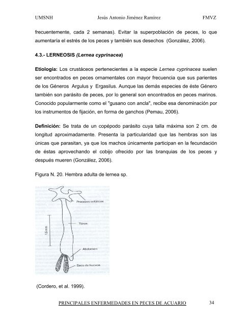 principales enfermedades en peces de acuario.pdf - Facultad de ...