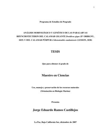 tesis completa en pdf - IMECOCAL - cicese
