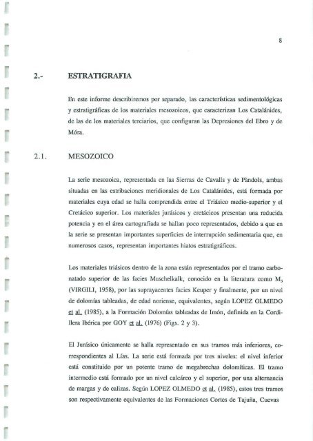 Informe sedimentológico - Instituto Geológico y Minero de España