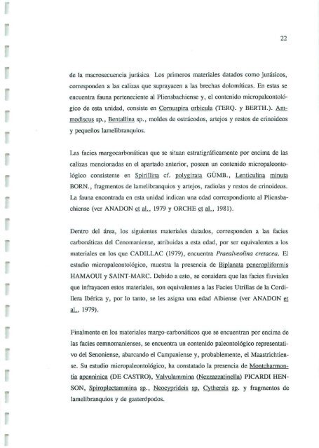 Informe sedimentológico - Instituto Geológico y Minero de España