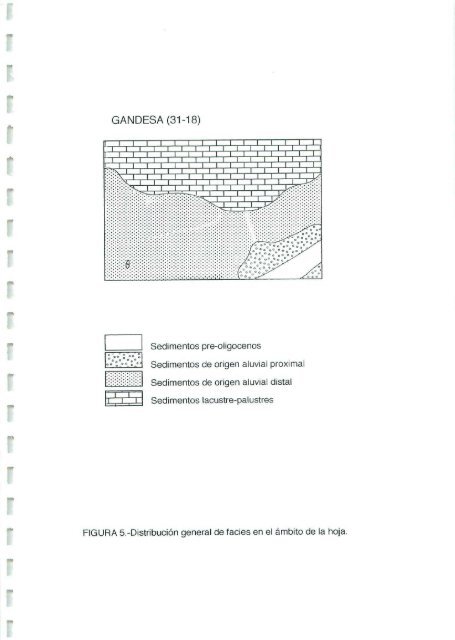 Informe sedimentológico - Instituto Geológico y Minero de España