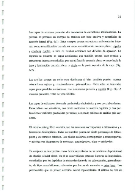 Informe sedimentológico - Instituto Geológico y Minero de España