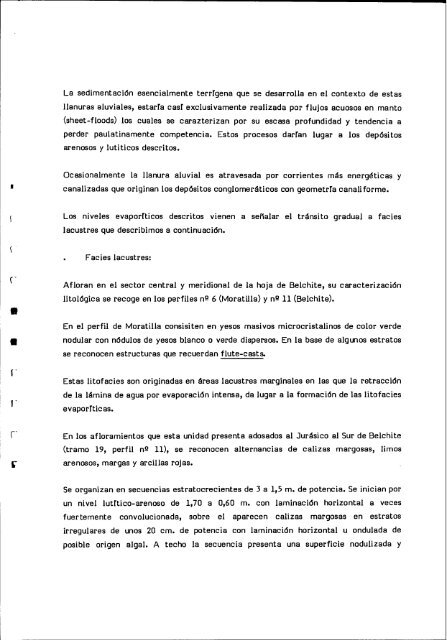 Informe del terciario - Instituto Geológico y Minero de España