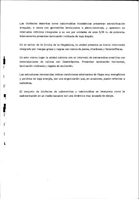 Informe del terciario - Instituto Geológico y Minero de España