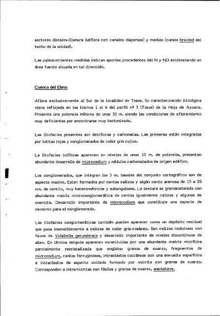 Informe del terciario - Instituto Geológico y Minero de España