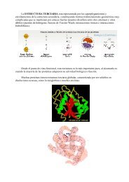 La ESTRUCTURA TERCIARIA esta representada por los ...