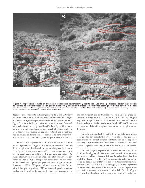 la secuencia volcánica terciaria del cerro la virgen y los procesos ...