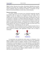 Aminas - Grupo de Sintesis Organica Universidad Jaume I
