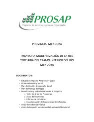 provincia: mendoza proyecto: modernización de la red terciaria del ...