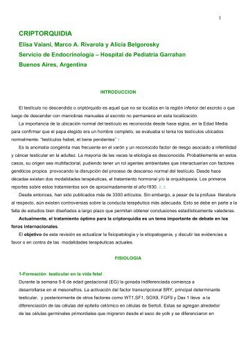 Descargar texto en formato PDF - endopedonline