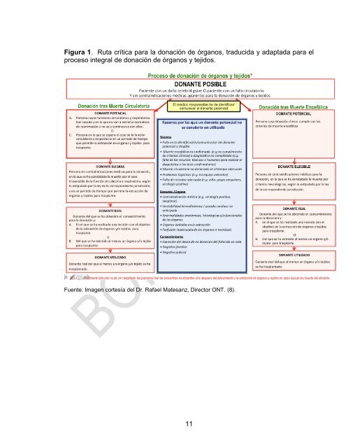 DOCUMENTO LINEAMIENTOS TECNICOS version dic 7 pdf