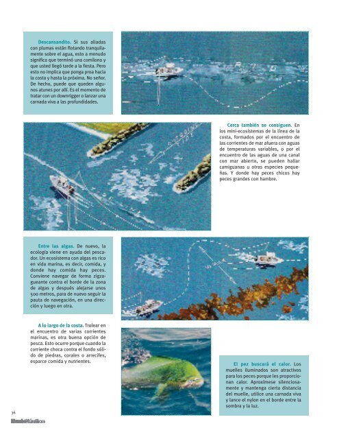 Descargar PDF - Revista Mundo Nautico