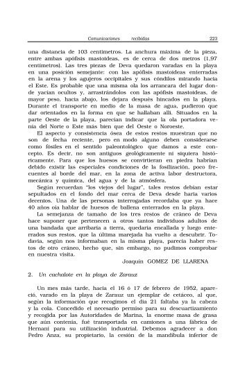 Un cachalote en la playa de Zarauz ... ... ... ... ... ... ... 223 ... - Aranzadi