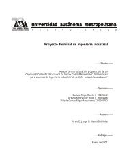 Proyecto Terminal de Ingeniería Industrial - UAM Azcapotzalco