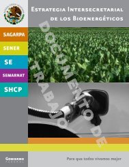 Estrategia Intersecretarial de los Bioenergéticos - SNITT