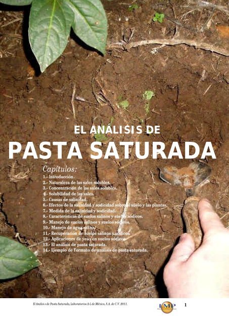 PASTA SATURADA - agroanalisis.com.mx