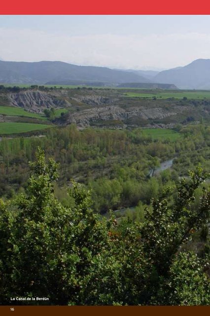 Naturaleza - Valle del Aragón