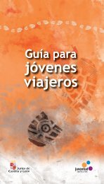 Guía para jóvenes viajeros - Consulta de Obligaciones Pendientes ...