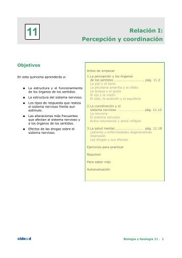 Relación I: Percepción y coordinación