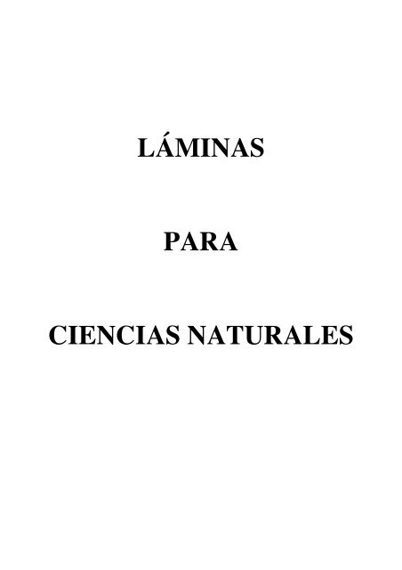 Láminas ciencias naturales - El Rincón del Maestro