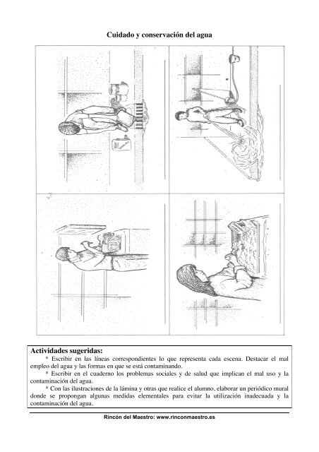 Láminas ciencias naturales - El Rincón del Maestro