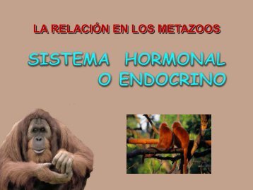LA RELACIÓN EN LOS ANIMALES - ies "poeta claudio rodríguez"