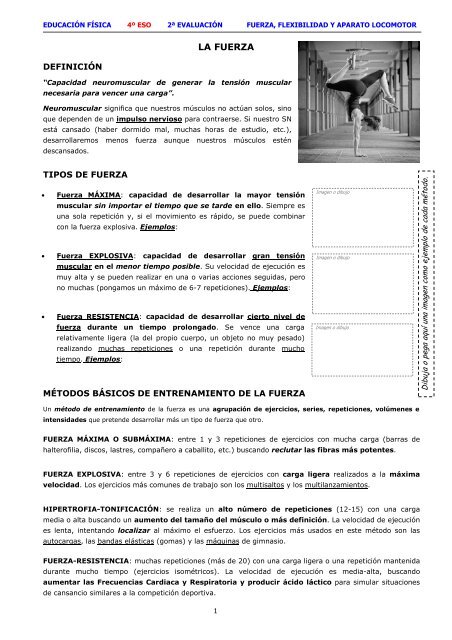 apuntes Fuerza y Flexibilidad 4º ESO - Educación Física Bezana apuntes Fuerza y Flexibilidad 4º ESO - Educación Física Bezana