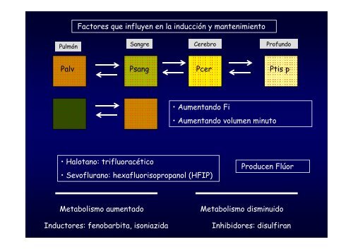 Tema 5 Diapositivas - anestesiaweb