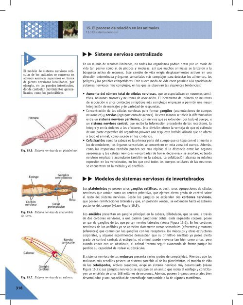 15 El proceso de relación en los animales - McGraw-Hill