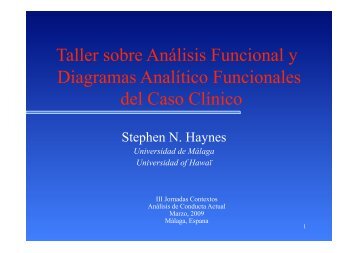 08 - Haynes - Workshop 21 Step Functional Analysis - Contextos