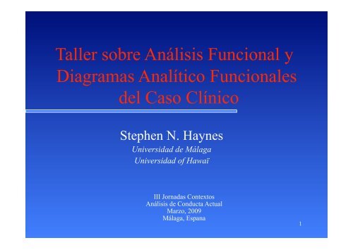 08 - Haynes - Workshop 21 Step Functional Analysis - Contextos