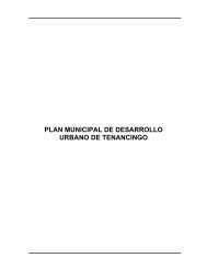 plan municipal de desarrollo urbano de tenancingo - Secretaría de ...