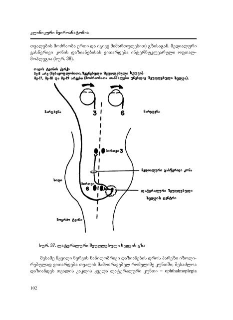 Neiroanatomia - Dak.indd