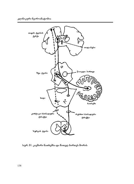 Neiroanatomia - Dak.indd