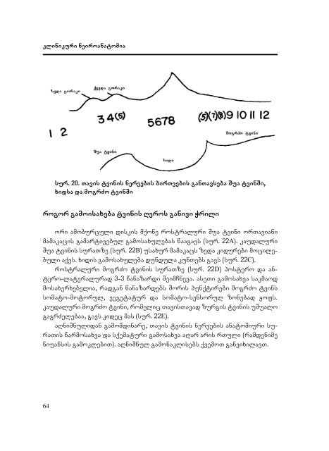 Neiroanatomia - Dak.indd