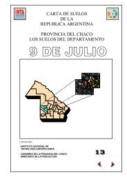 9 DE JULIO