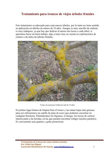 Tratamiento para troncos de viejos árboles frutales - Biodinamica