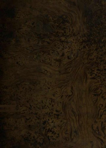 T1P fifi • - Brasiliana USP