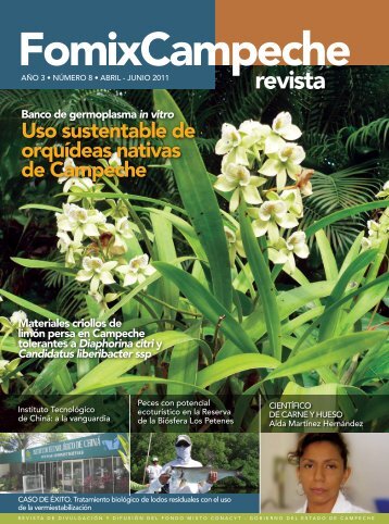 Uso sustentable de orquídeas nativas de Campeche