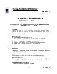 DIRECCIN GENERAL DE AERONUTICA CIVIL - Dirección General ...