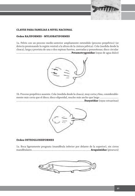 Descargar - Instituto de Investigación de Recursos Biológicos ...