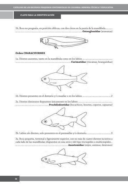 Descargar - Instituto de Investigación de Recursos Biológicos ...