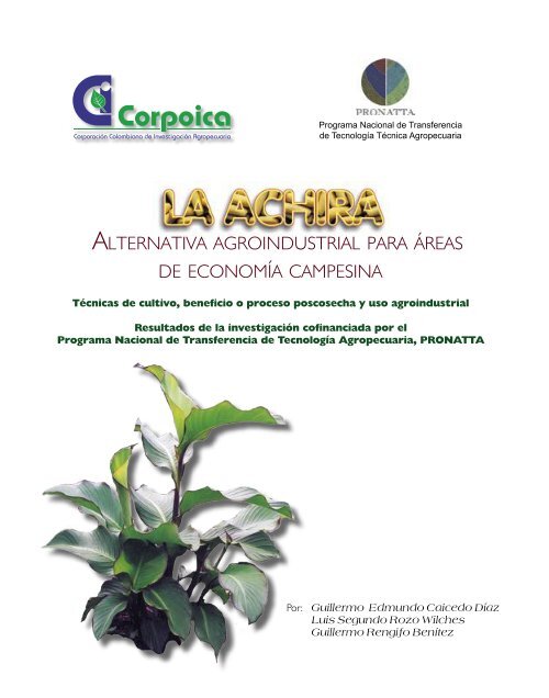 La achira, técnicas de cultivo, beneficio o proceso - Agronet