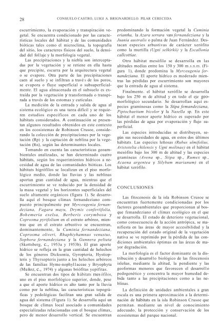 Texto en español (PDF) - Instituto de Geografía