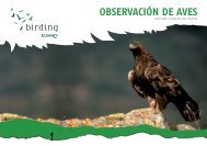 Embalse de Ullíbarri-Gamboa - Birding Euskadi
