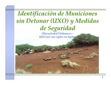 Identificación de Municiones sin Detonar (UXO) y Medidas de ...