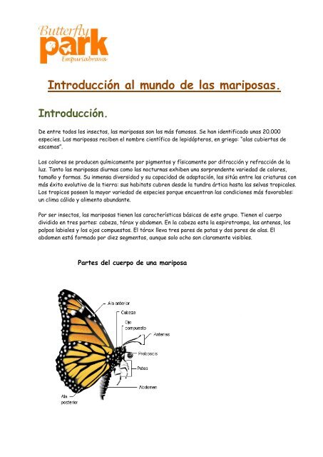 Introducción al mundo de las mariposas - Butterfly Park